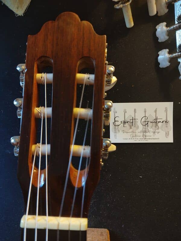 Greg Bennett C3 Guitar