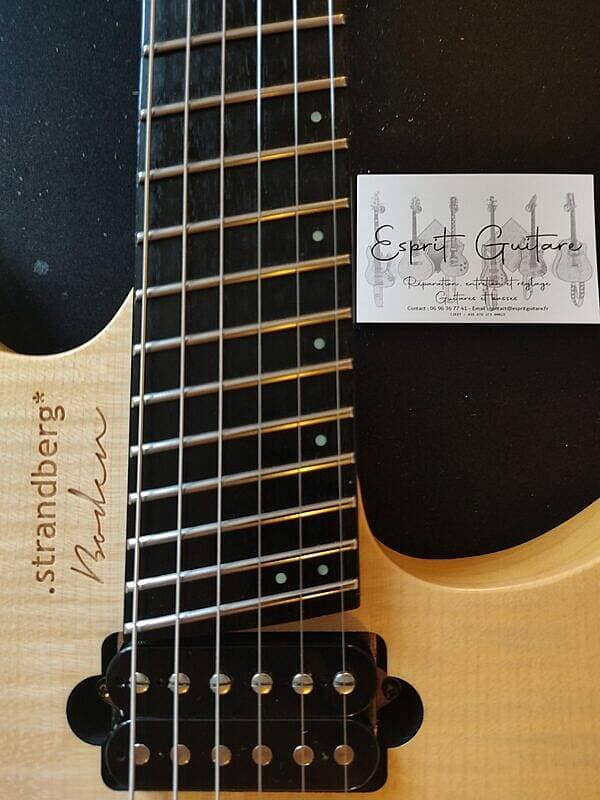 Strandberg Guitar