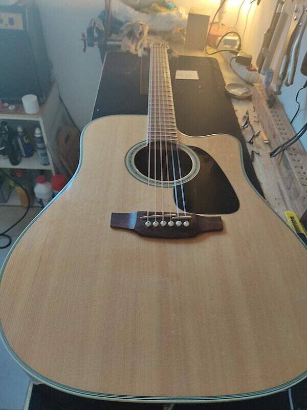 Takamine G Series Guitar