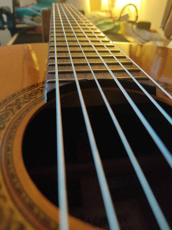 Jasmine Guitar by Takamine