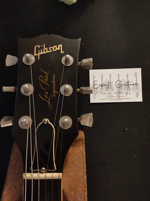Gibson Les Paul Signature Guitar