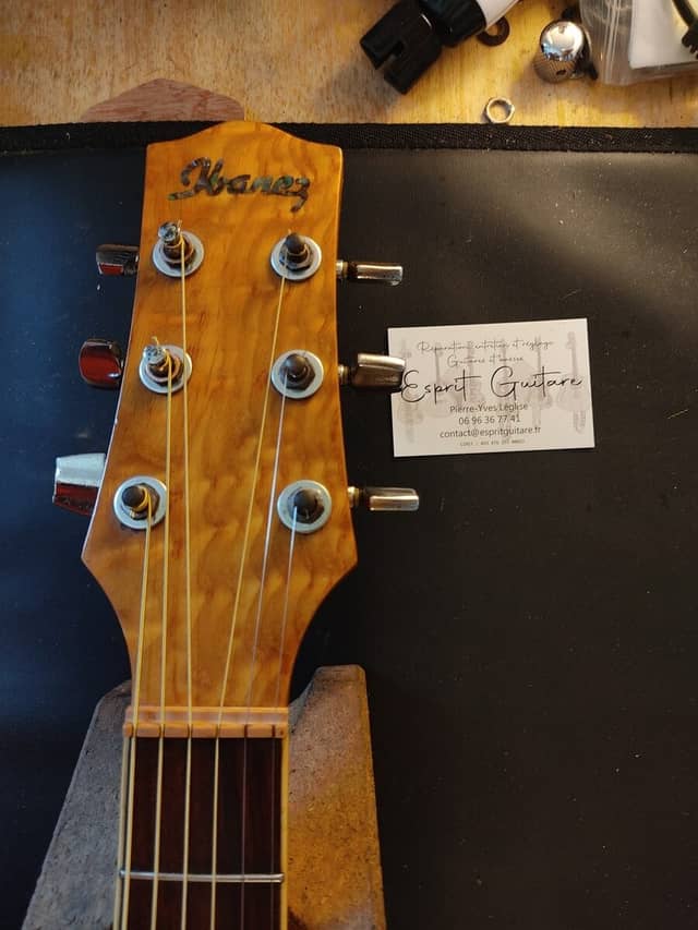 Ibanez EW20A Guitar