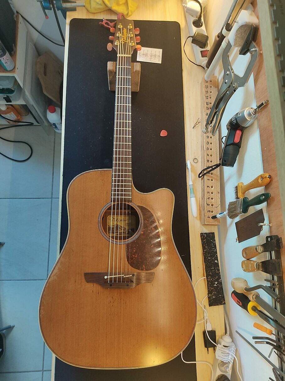Takamine TAN10C