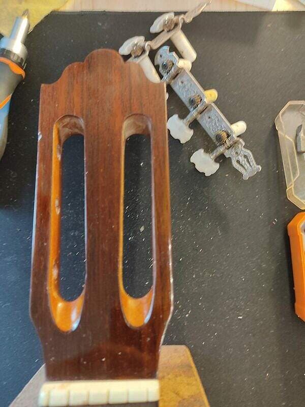 Guitare Greg Bennett C3