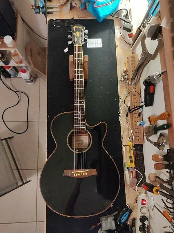 Guitare Ibanez AEG10