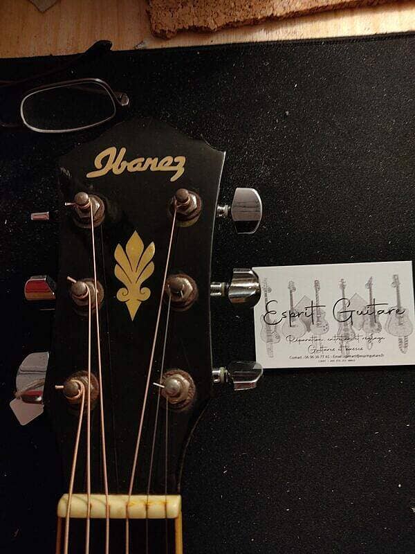 Ibanez AEG10 Guitar