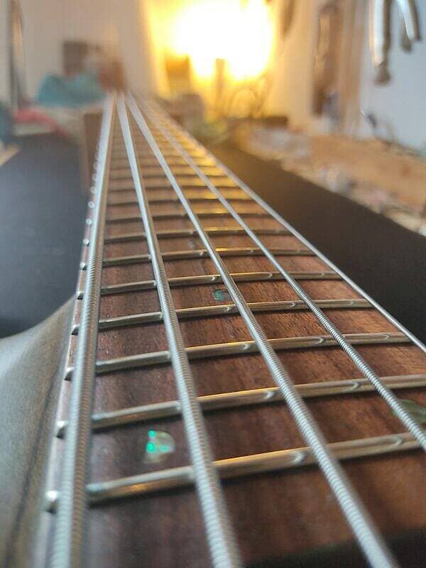 Bass ESP LTD B-205SM