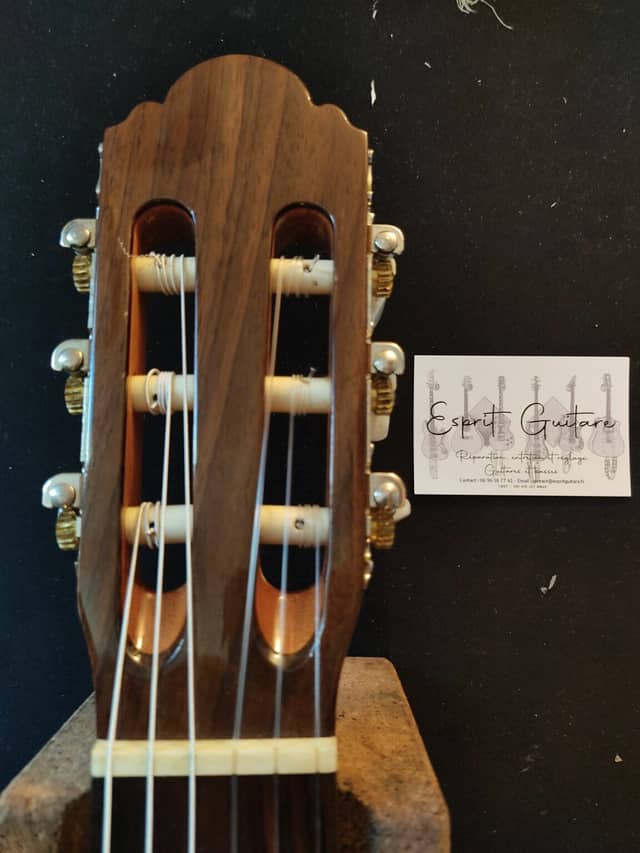 Guitar Miguel Almeria