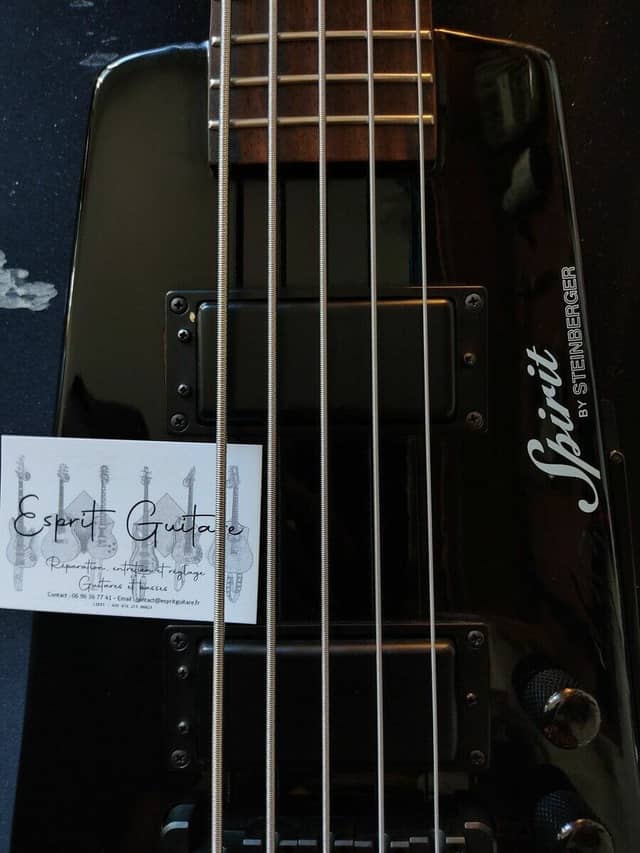 Spirit Bass by Steinberger