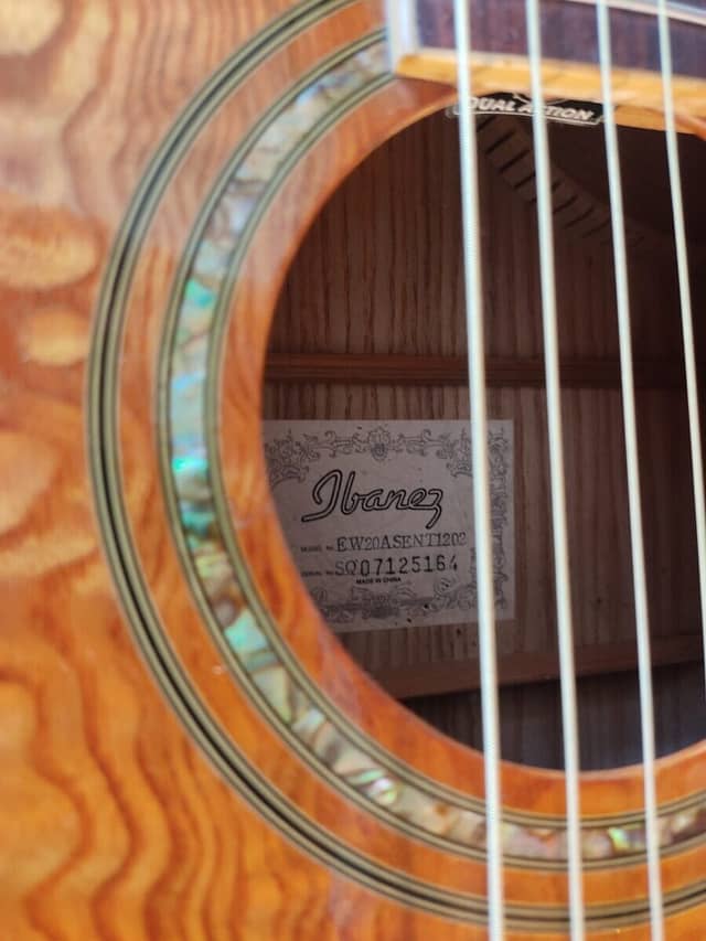 Ibanez EW20A Guitar
