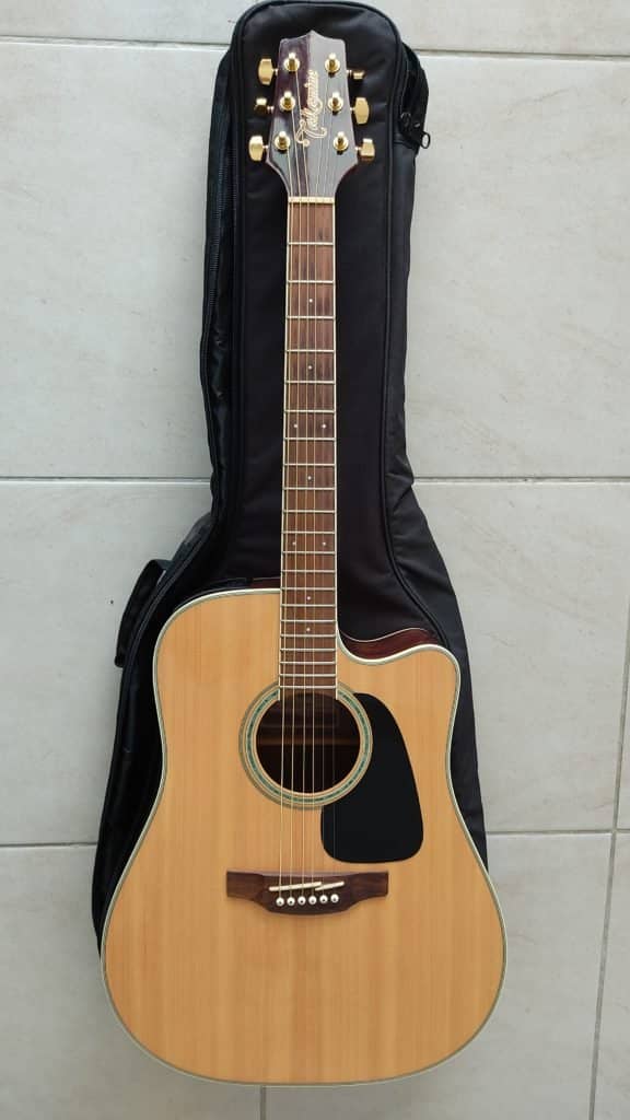 Takamine Série G