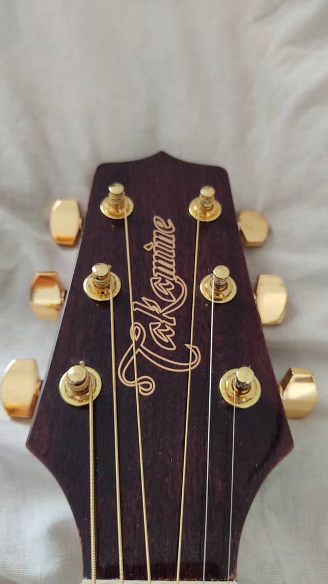 Takamine série G