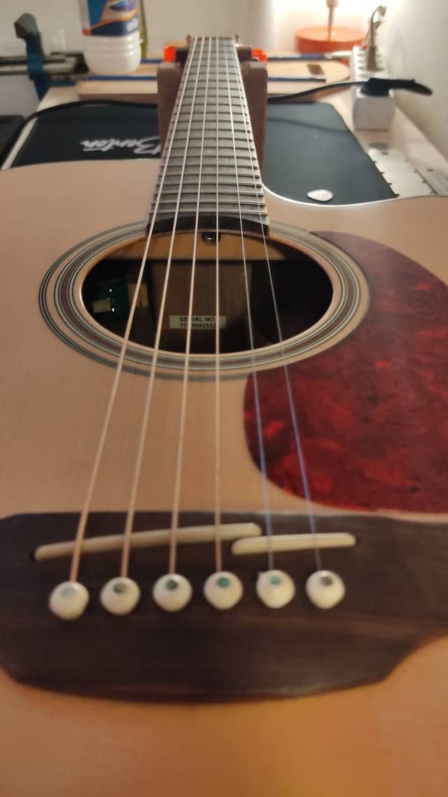 Takamine série G
