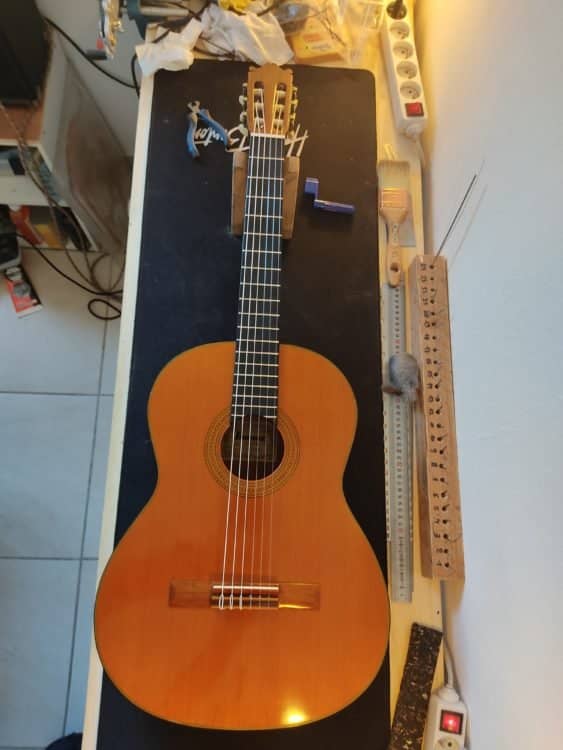Ibanez
