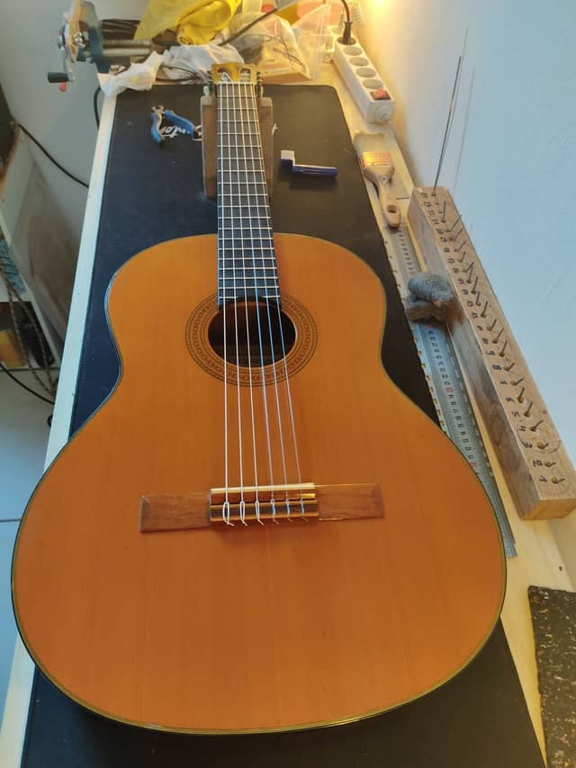 Ibanez