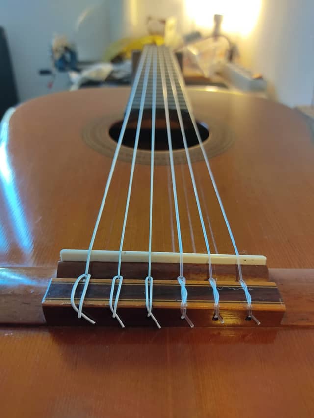 Ibanez