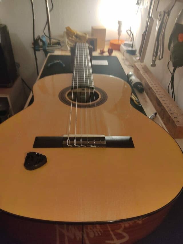 Guitare Cordoba C5