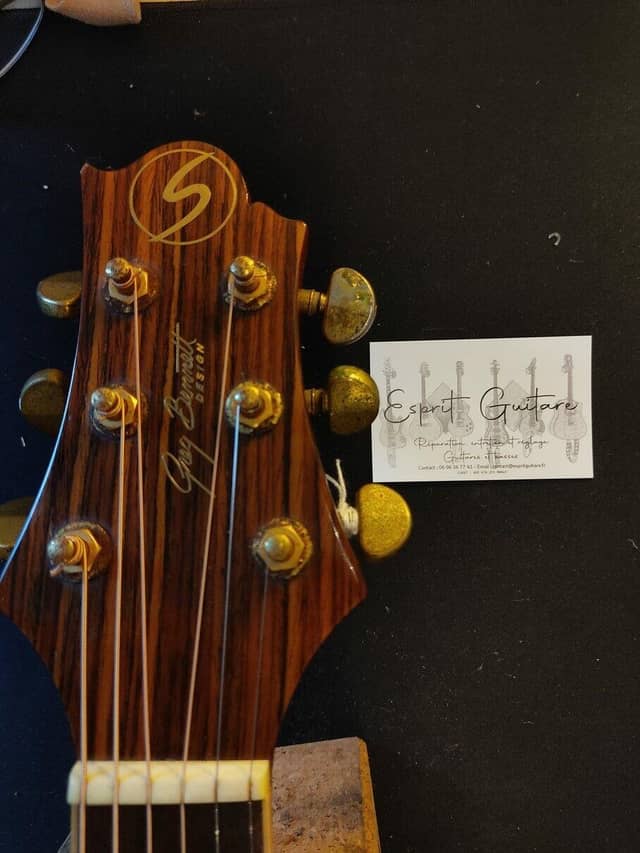 Guitare Greg Bennett