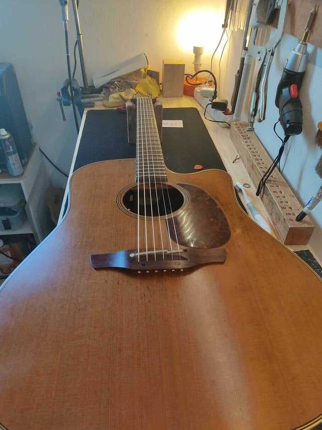 Takamine TAN10C