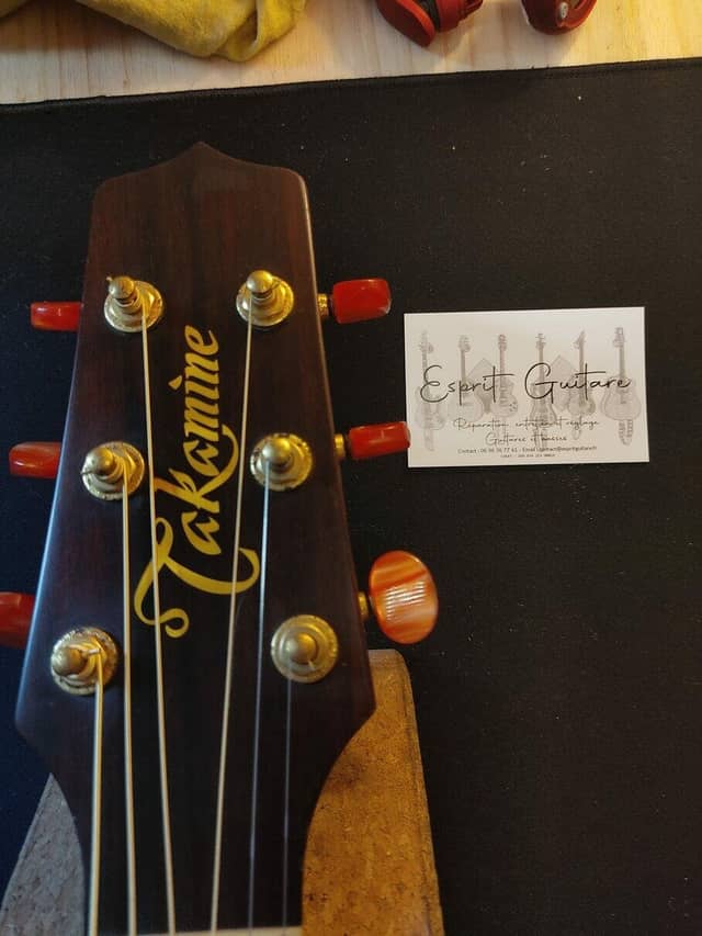 Takamine TAN10C
