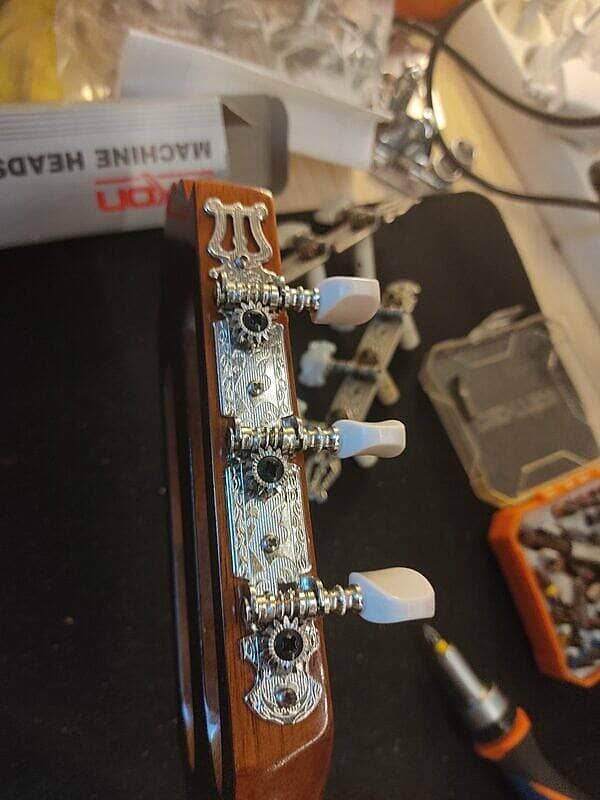 Guitare Greg Bennett C3