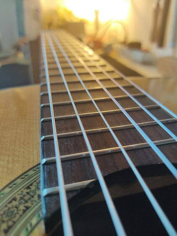 Guitare Greg Bennett C3