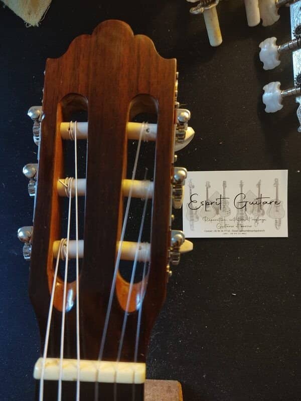 Guitare Greg Bennett C3