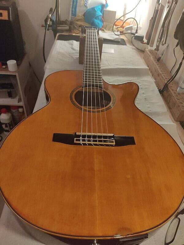 Guitare Ibanez AEG10