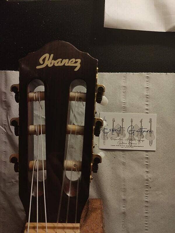Guitare Ibanez AEG10
