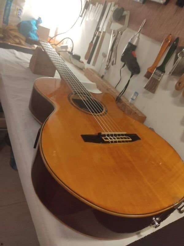 Guitare Ibanez AEG10