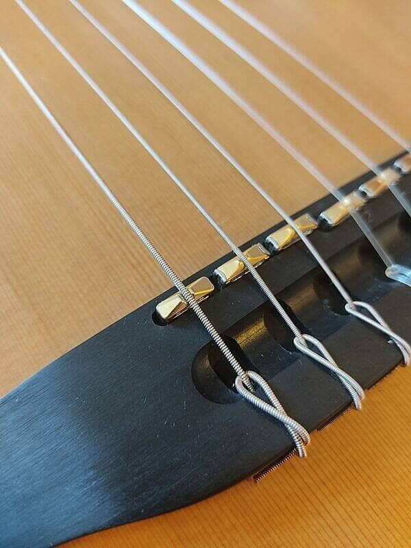 Guitare Godin ACS