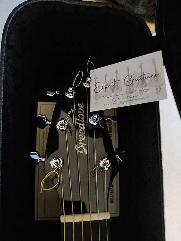 Guitare Breedlove Legacy Concert CE