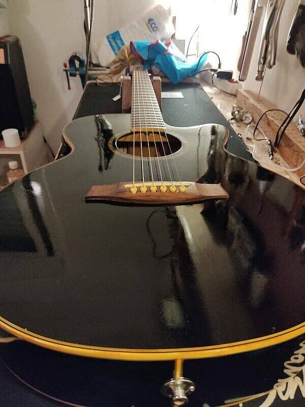 Guitare Ibanez AEG10