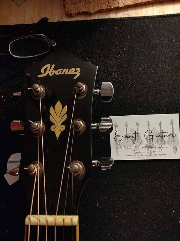 Guitare Ibanez AEG10