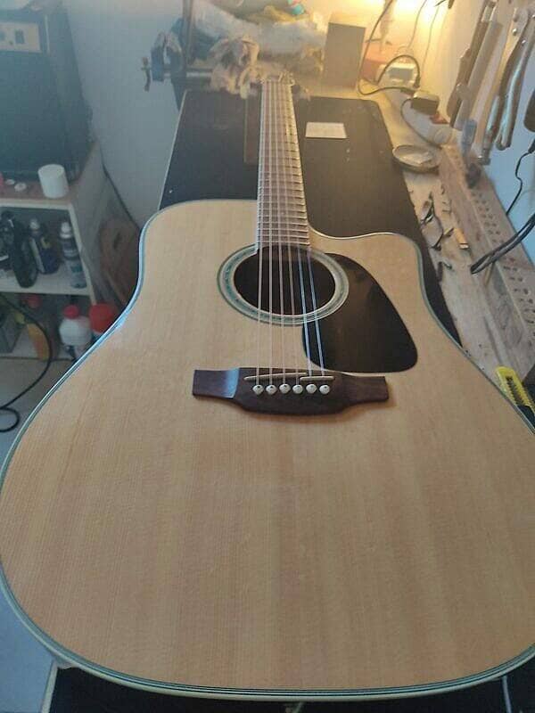 Guitare Takamine Série G