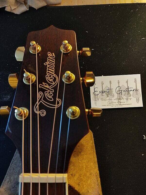 Guitare Takamine Série G