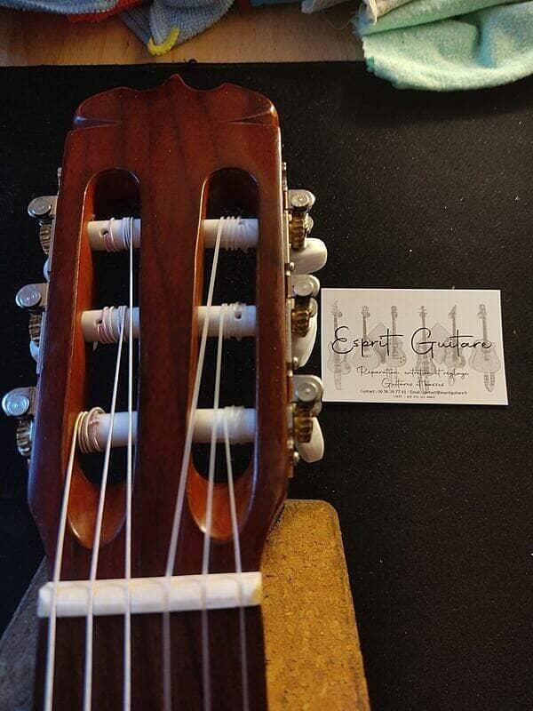 Guitare Jasmine by Takamine