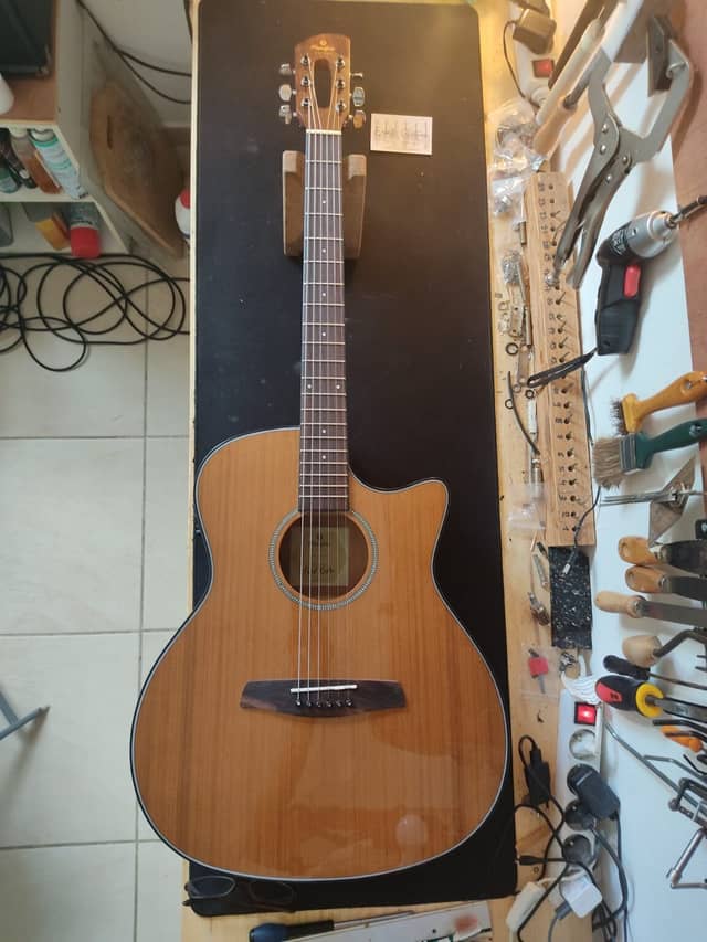 Guitare Prodipe SGA200