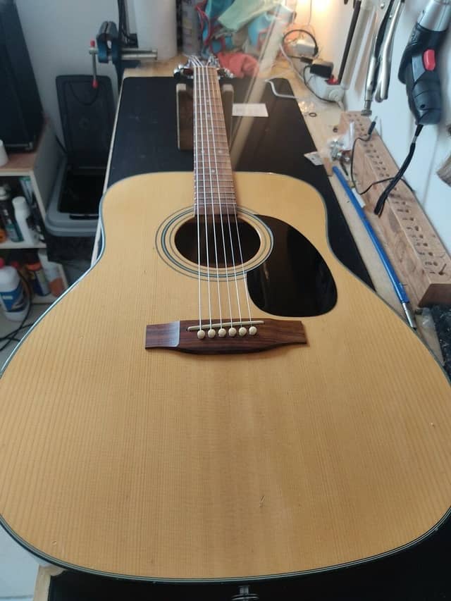 Guitare Takamine série G