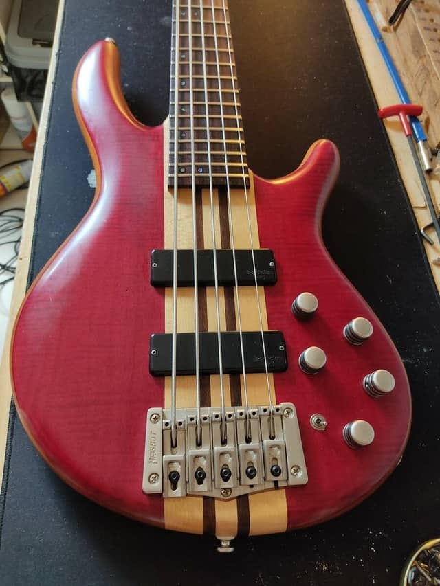 Basse Cort 5 cordes