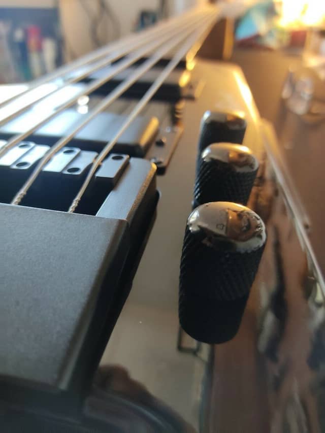 Basse Spirit by Steinberger