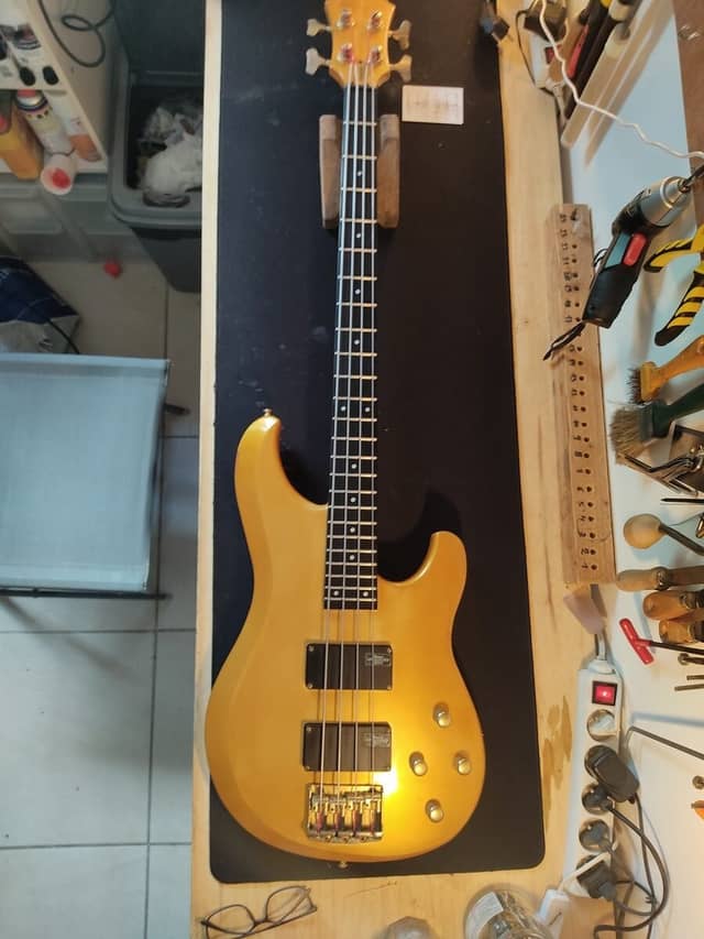 Basse Ibanez Musician MC924