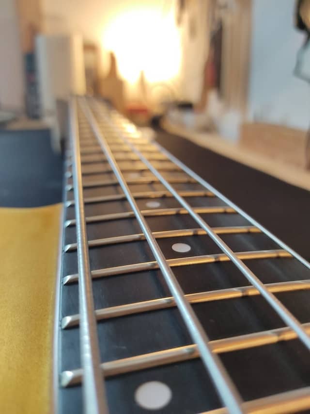 Basse Ibanez Musician MC924