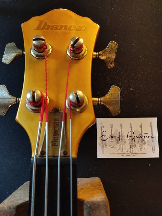Basse Ibanez Musician MC924