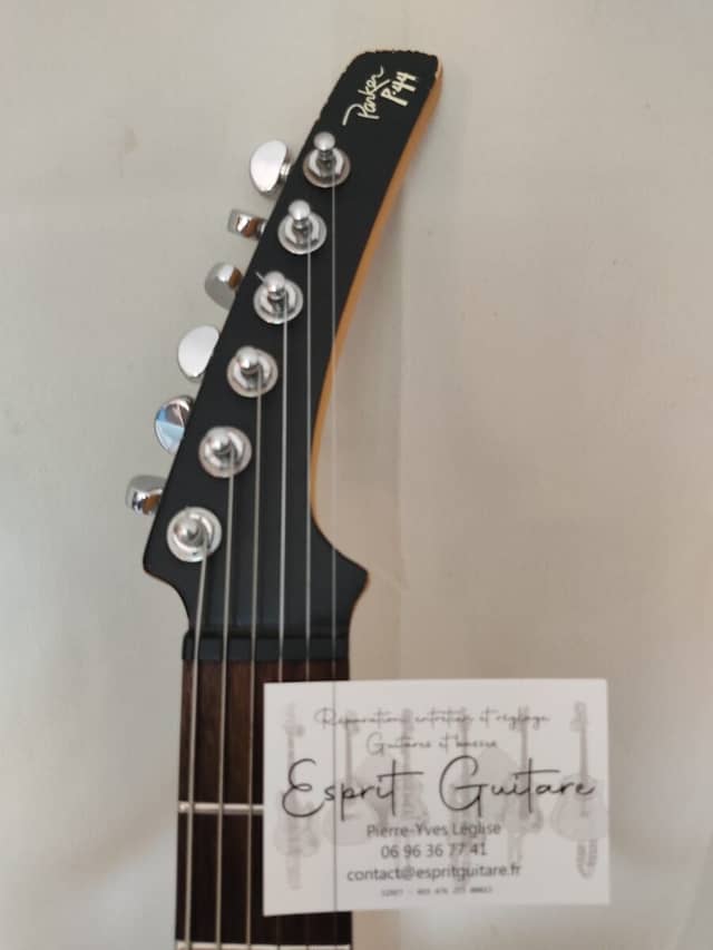 Guitare Parker P44 Pro