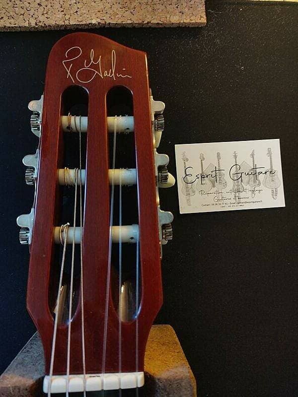 Guitare Godin ACS