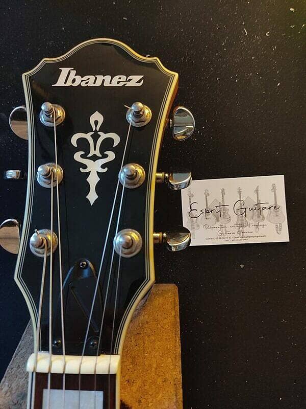 Guitare Ibanez AKJ95