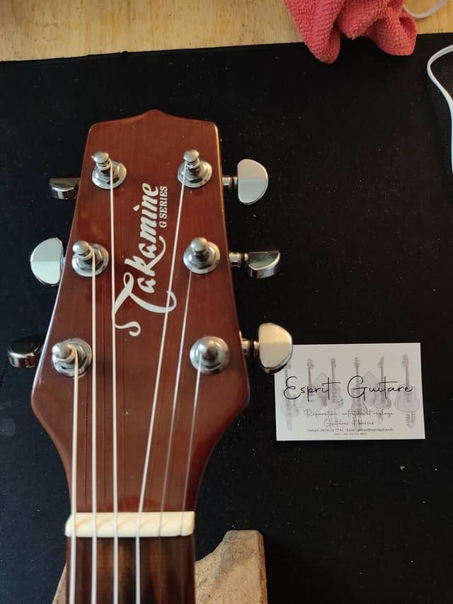 Guitare Takamine série G