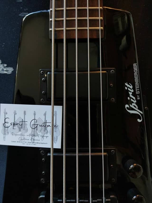 Basse Spirit by Steinberger