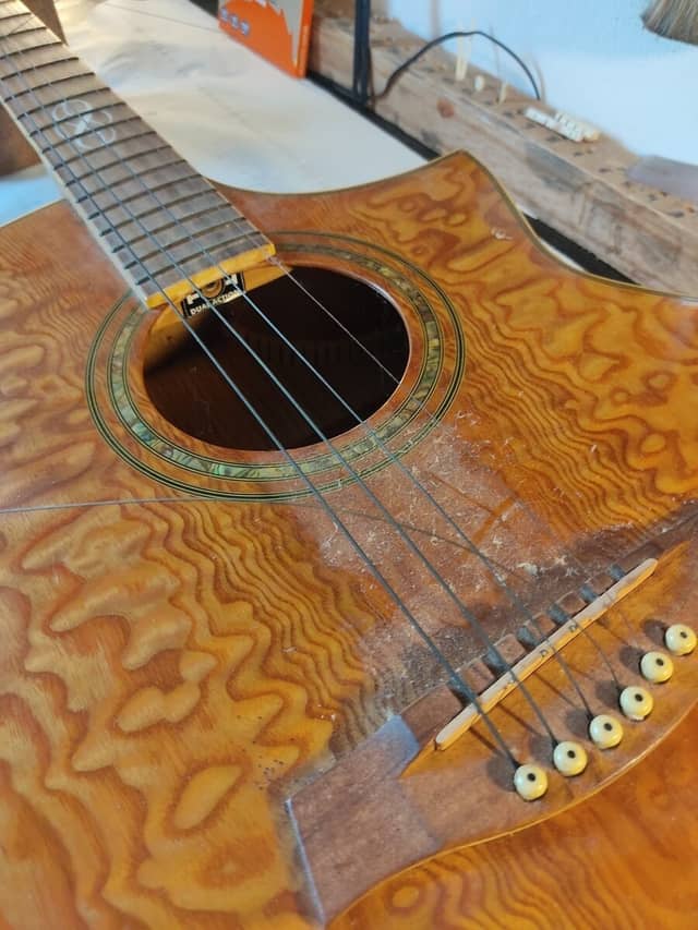 Guitare Ibanez EW20A